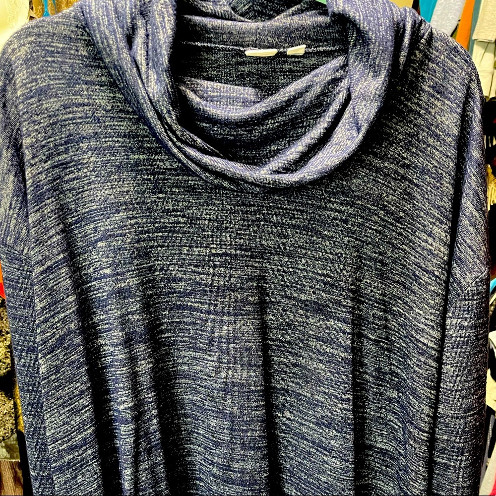 Blue Gap Cowl Neck Tunic